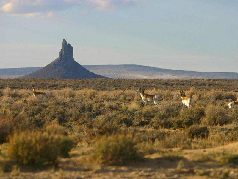 BB9468E4E8FC34B6116E3366D533D448