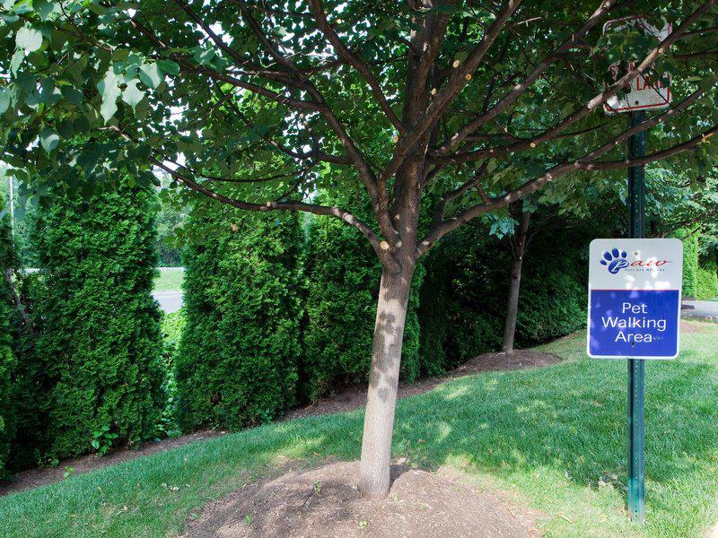 2A0002F86E0DB4F0EE807EA5E6816AA9