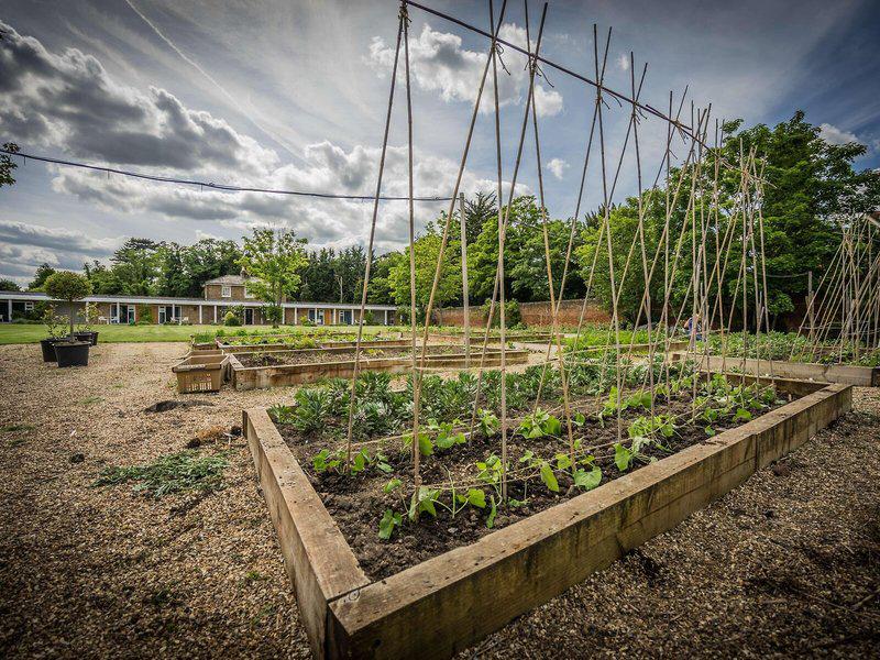 E62C82A80272584E5D9674D6EA0D5011