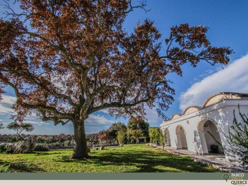 C736512B1860ED2B45D951EC94BE6EA7