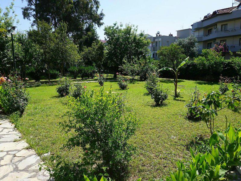 898C157F6193EB230FF3369FC072B71E