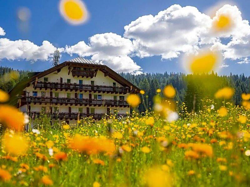 0584AA4BF1582745CDE6B21BE0F8D018