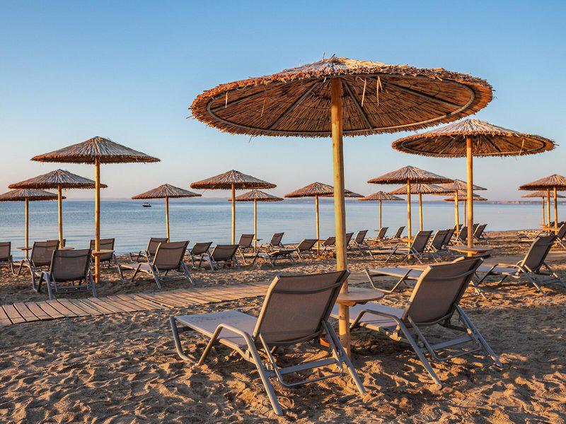 66984F36D0F2DC3E0786D96A40FF21FC