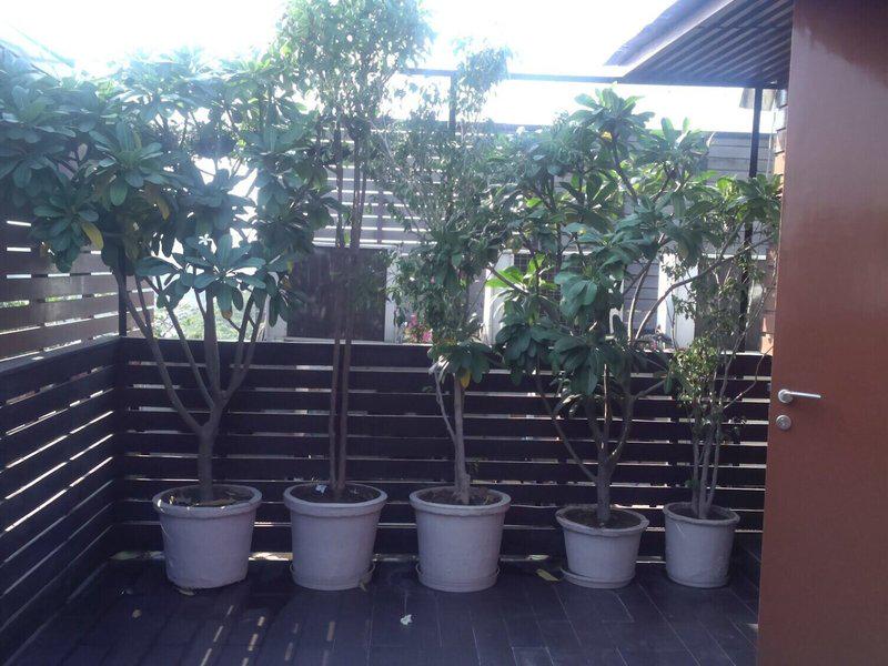 619F9BBE9B2E89F5B8EBBF099FEADFE3