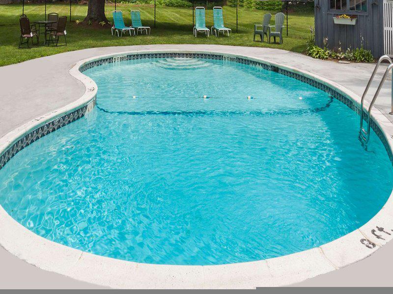 738EC0341E4941C0365FF4B662146046