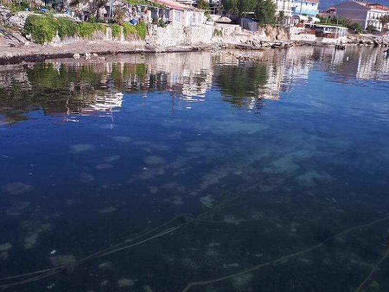 42EE94A7DF66CCA3E36DAF9DA5FA7955