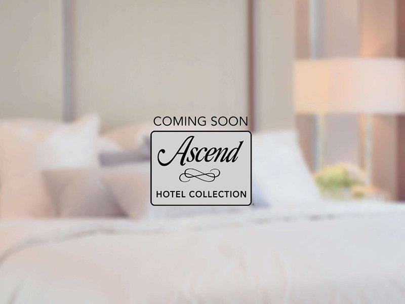 8F9C74860BB4149545A801E39FA40C57