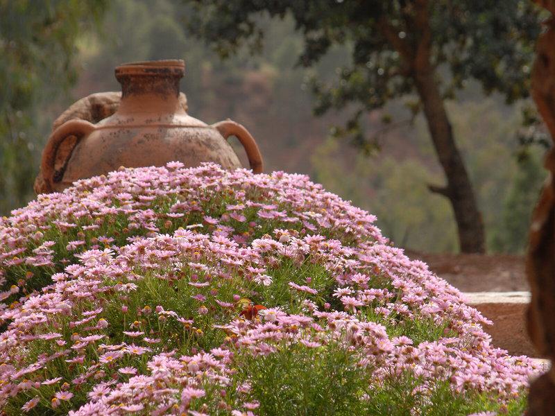 1EB7AE9D1905E60DF10A2088A687F2FB