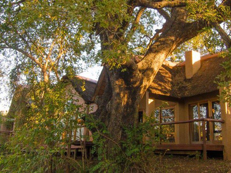 4DDCED386110D320247216A2E3B5D017