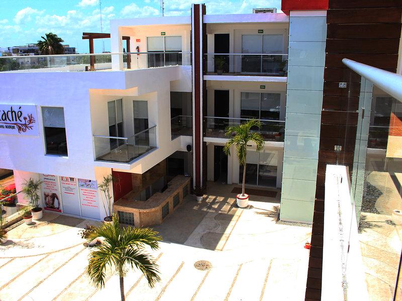 02CBE7D244BD7F7D3F6BC8947329AC8D