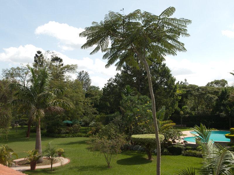 A6AEBF3B706A8F219E9E729E11368B0C