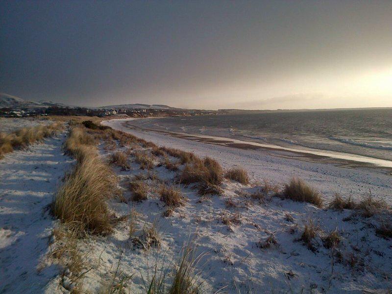 DD2635FA3CE16F8FB1F8687B1D07D505