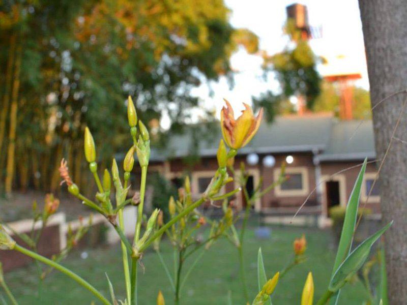 4FC5DE9B2C48CC218772CF0860702F37