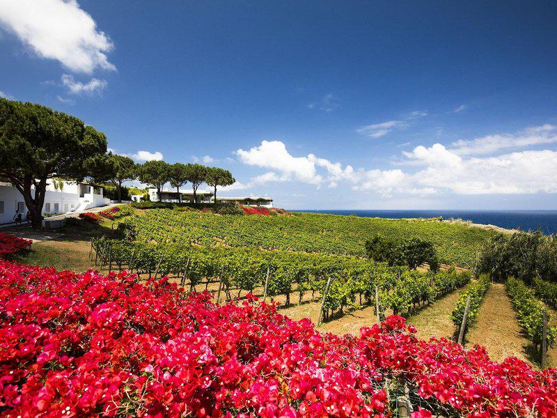 D727E9DCDE1EEC0DF78BCEDC5418E6C3