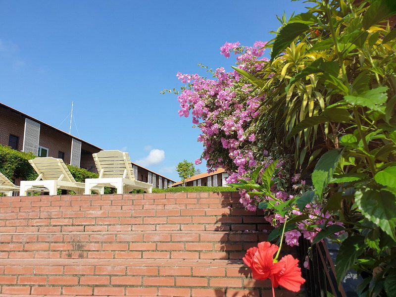 C5835954CCF40AA0B1D28D8540806667