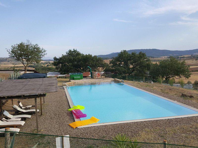 D1658163CA53C7BB0AECA3F35A8AA59A