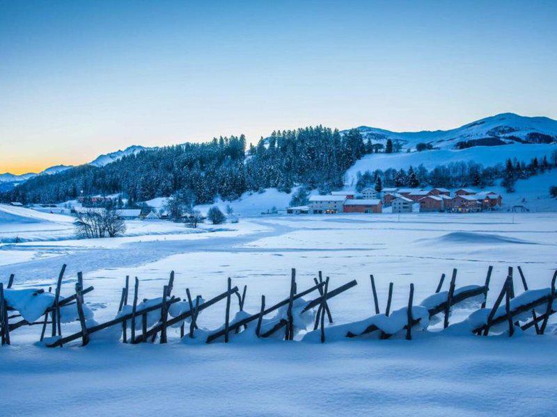 1208570CB134BB084D10FED6DFEB8419