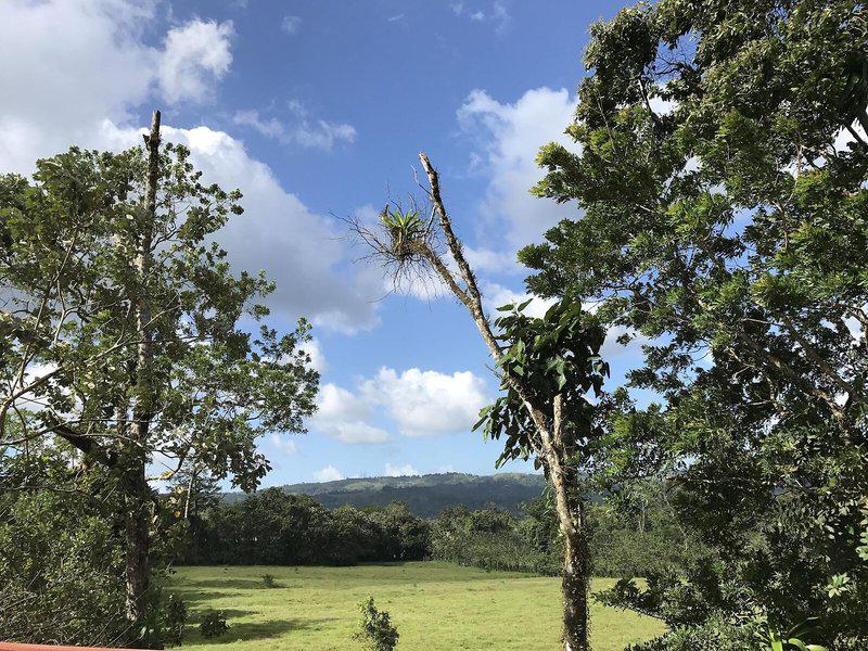 DD23180CB510EB14F8956D20F2EC9E4C