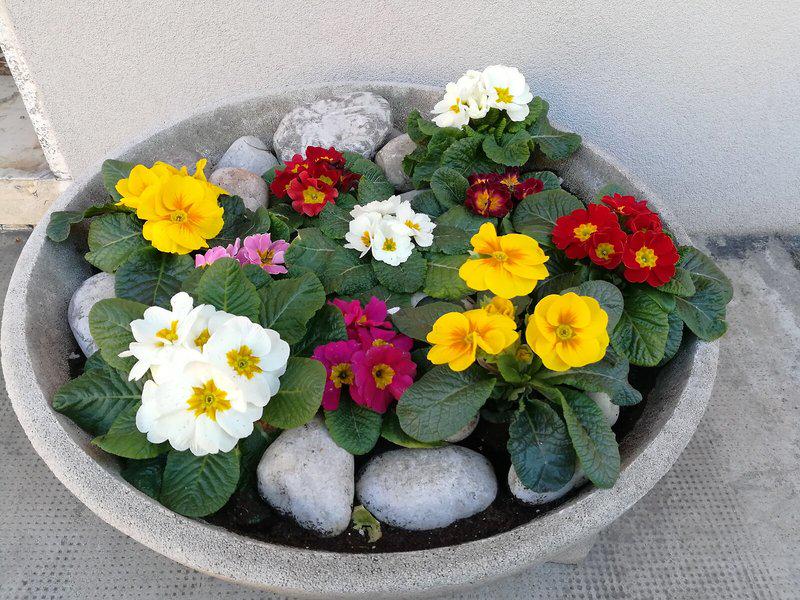 614D1ACB0D8E1BF2081E02708D15A93C