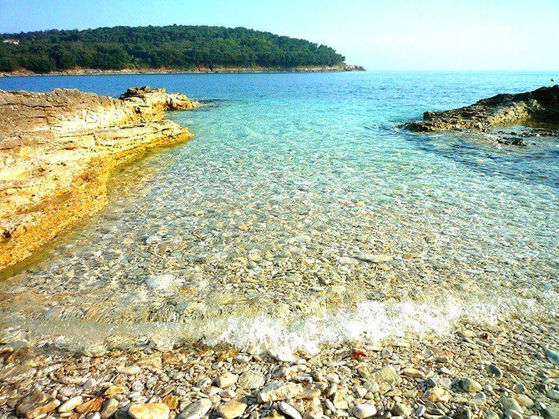 19A1DD27064906EB60B4E4DCCC6C7A6E