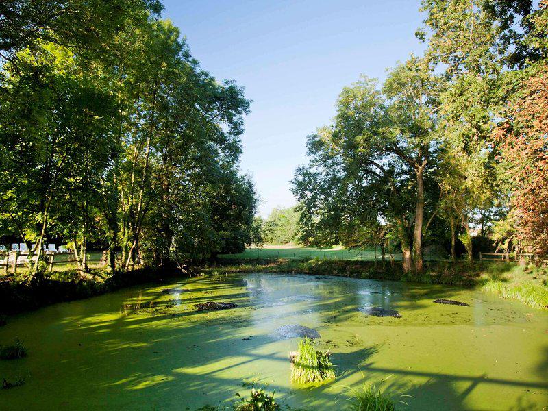 2D2BC9784CCC8A39A8483D315455B7FD