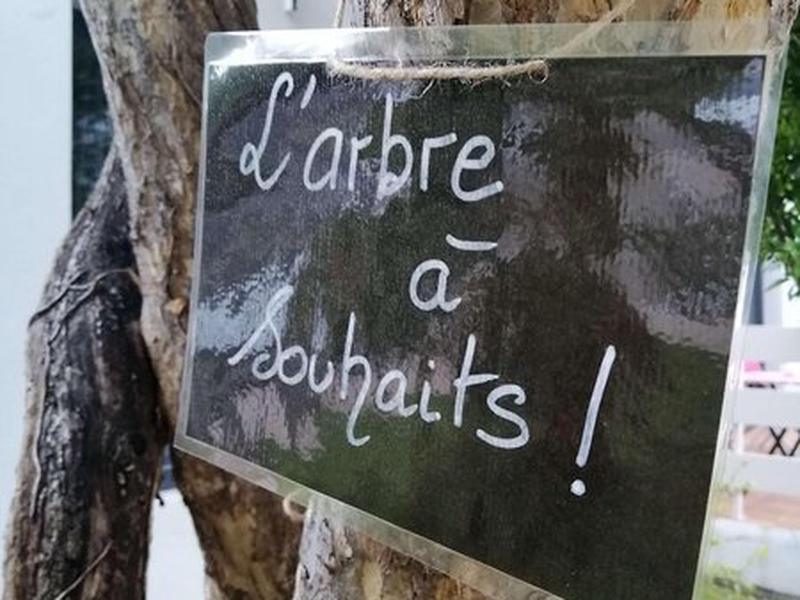 E82548847DAF76C057164C805750D5C7