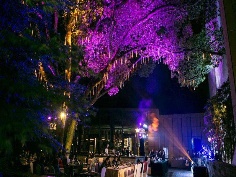 B70ED9AA08B1C55455B10BF67A29B733