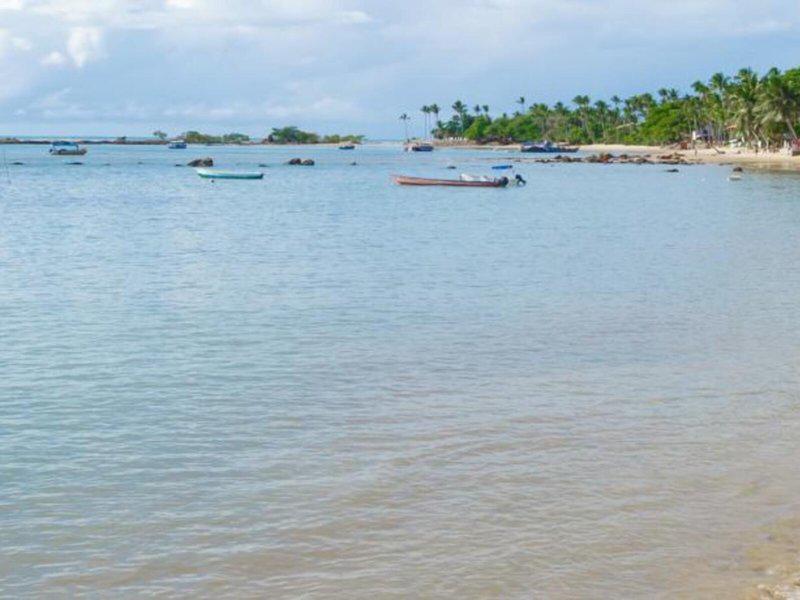 A93FDED6D5E1C1F21894CB32C60EE2C4