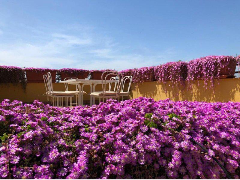 3C949C82DF4AD59008627643BD2AF6E8