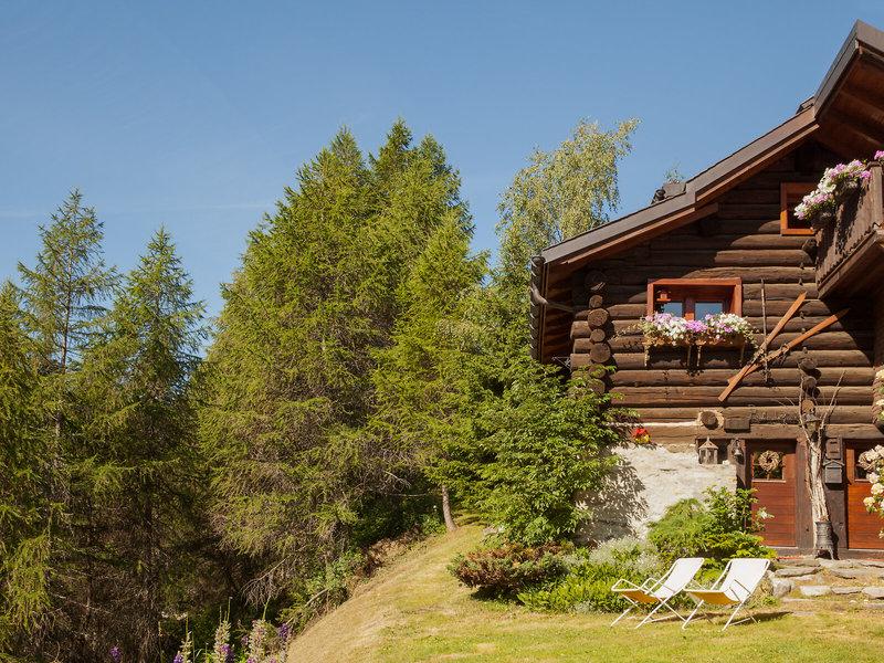 62AC753ACFF8DD0CBDEB11F504A5FE40