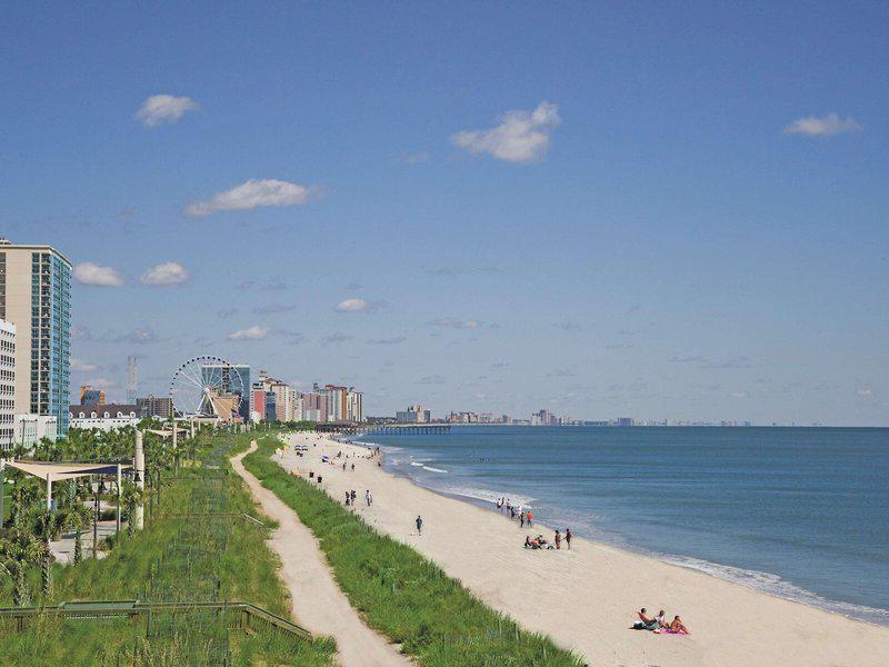 9520A58E392878B0BAA2481E118FD061