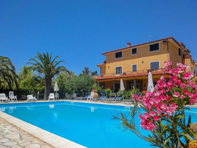 9688D8DD82DAFC95196AB999C3269294