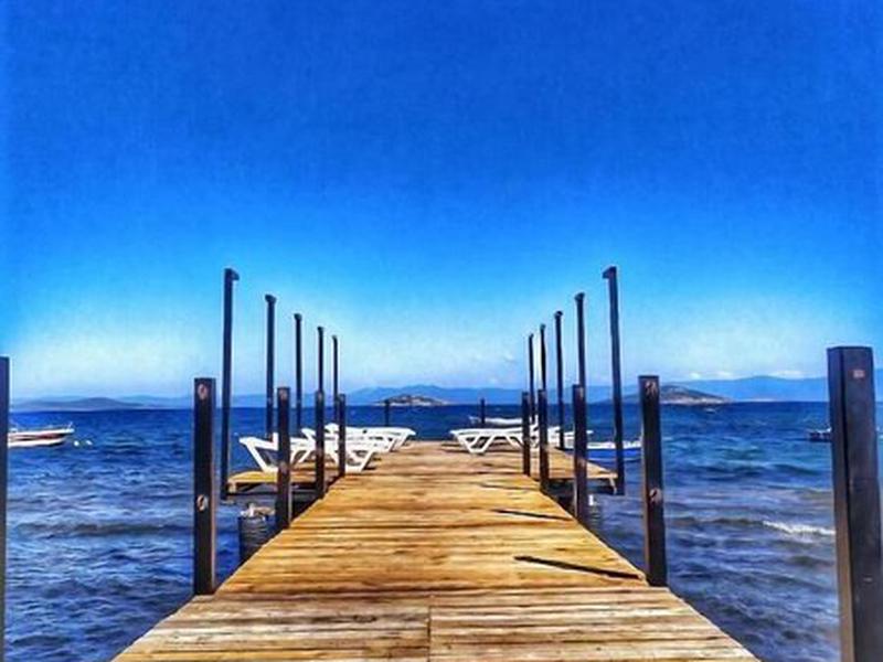 7E82553513F237C10045225FEB21C903