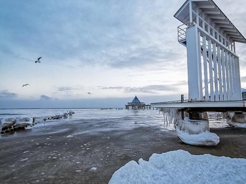 C9E8B0E71CEFE010D8EB9E8994A29930