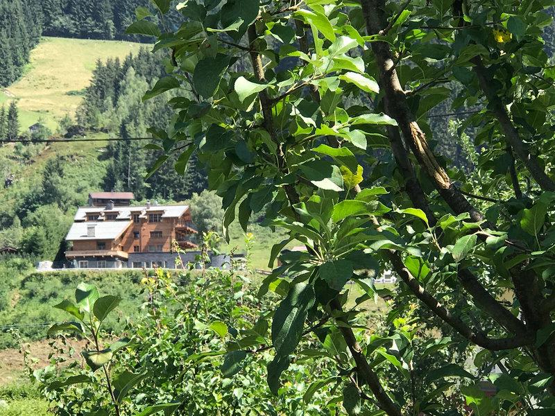 13D01AD4DA08C3F1D2CBA35766D7C8D4