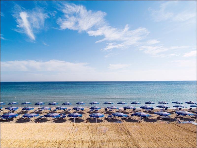 4E2D9B760B64F2FF65F50B77BE35B81F