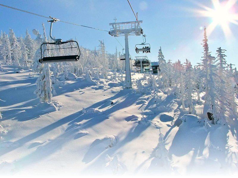 AB4B61A6B87663486F76F71683AA1B11