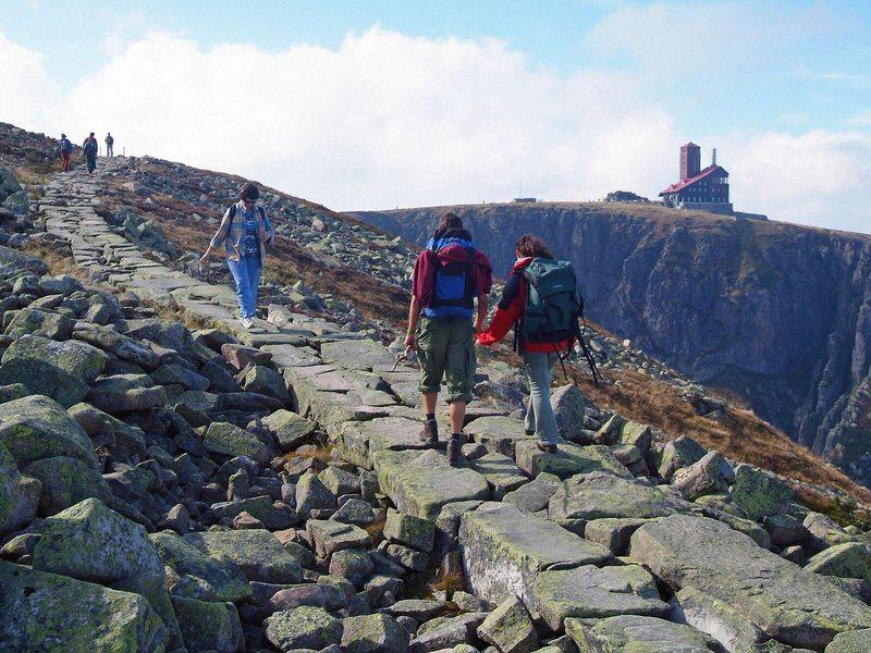 FD0B3CD425060DF959C1D3FB8908E87B