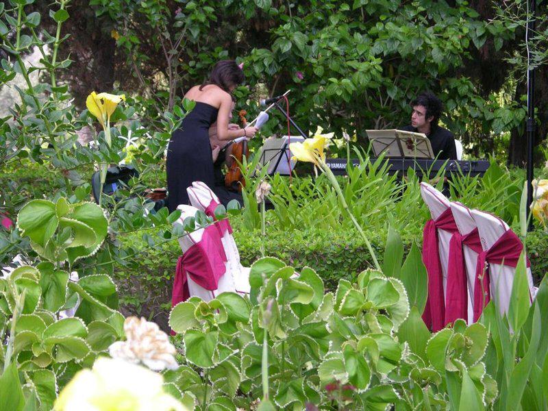 85EED66C9E72339D525C1FAC12BEDAF1