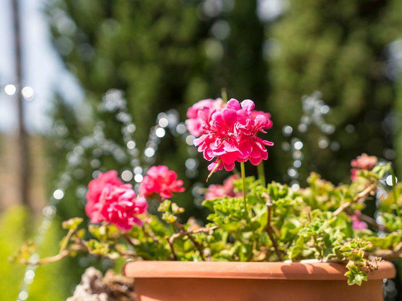 5C24B764E0E1C9B1B87A916B82232F0B