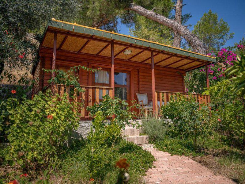 20708D2DA6F64BCE0241B4EA6CF06E1B