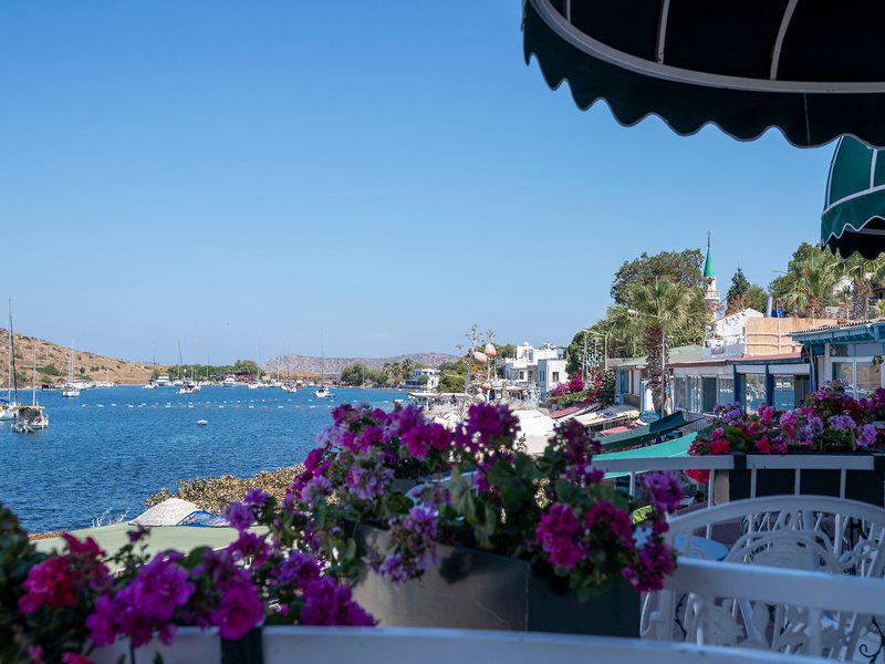 A267754D99F18BA19E43B5094BC31EEC