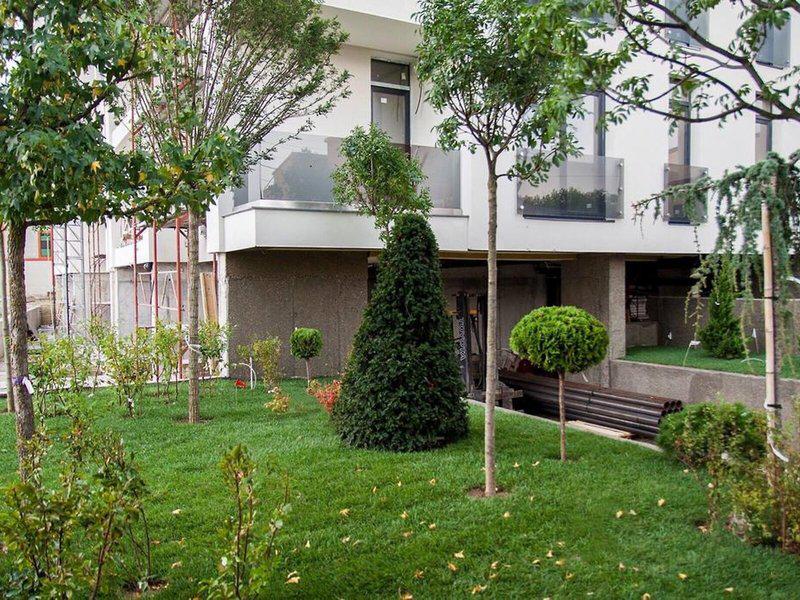 3607F2694AD2B71A5DCBB80C0777908B