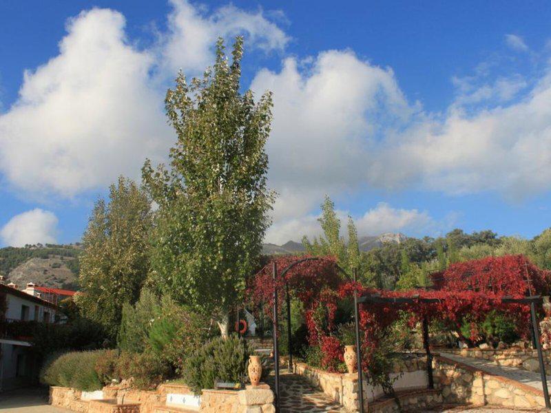 26A5406213DAE147E3B9680D85EE0C0D