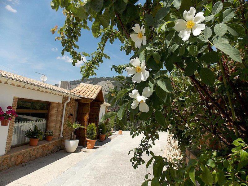 E7F826C799ED6ABC5EE6A6098F80C47A