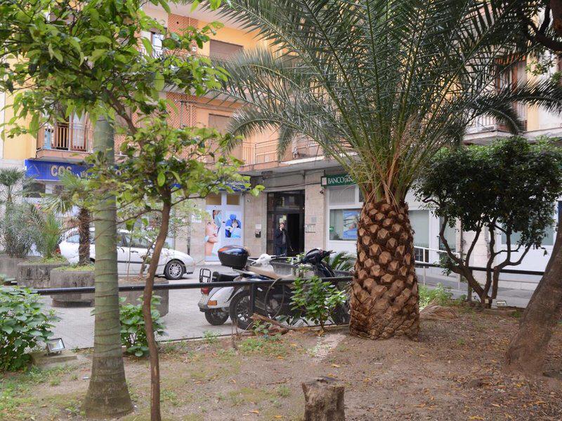 E9B66E70586984EA9F80A3D0F26CB06A