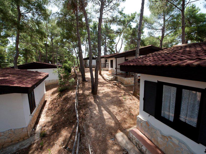 87B7261D4DFD09F039958B49FC13844B