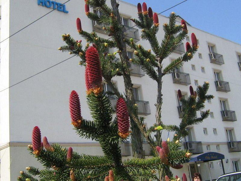 41372E31AD3F8F373EBAFD5AB95B9EEC