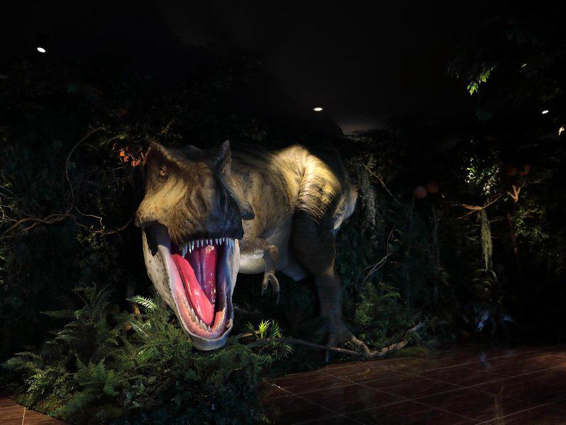 23947FC88C82865B67F515380E81D2FE