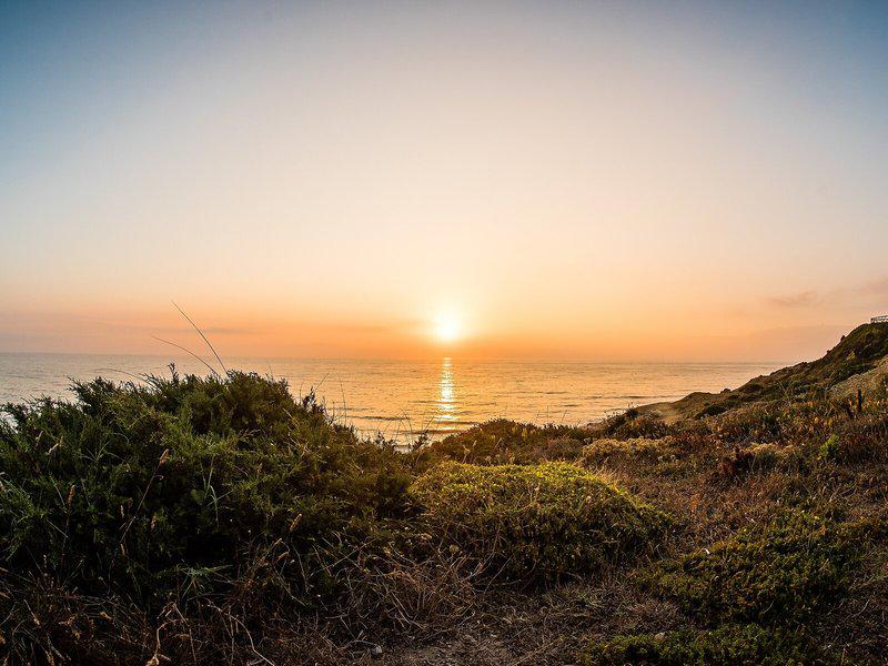 36D59B8CC7D281ECD710F01E441551A4